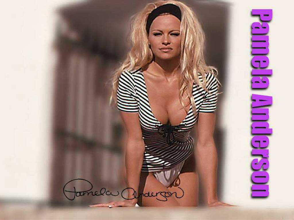 ���� ��� �������� ����� : ������������ : ������ �������� - Pamela Anderson 009
