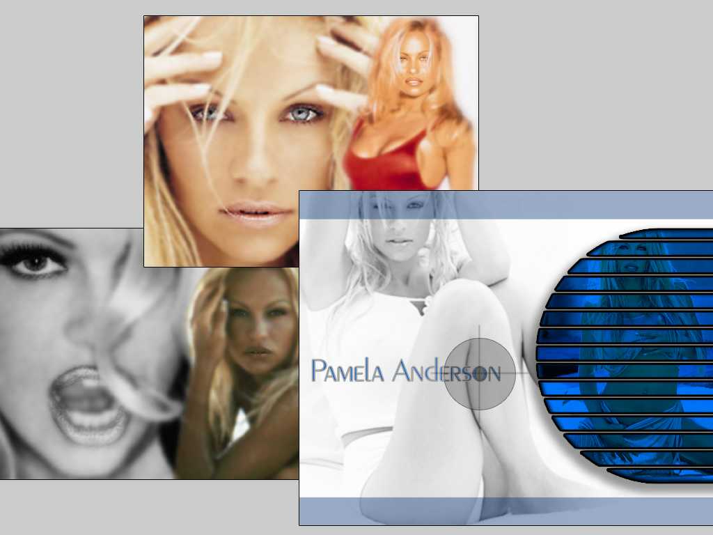 ���� ��� �������� ����� : ������������ : ������ �������� - Pamela Anderson 011